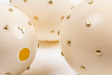 The Golden, Embellished Ostrich Egg, Leo & Stripes
