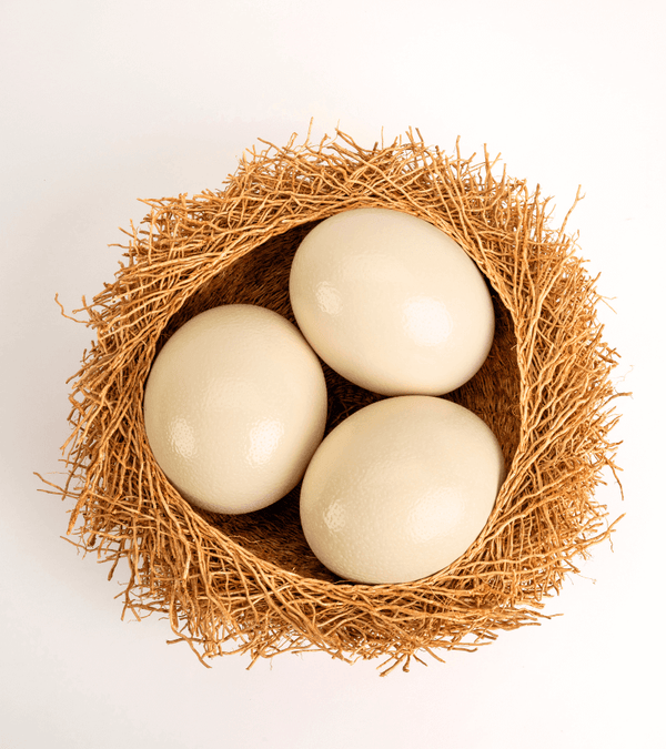 THE NEST - Small Vetiver Basket