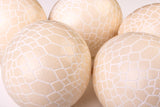 The Snake Carved Ostrich Egg Ornament from Leo & Stripes